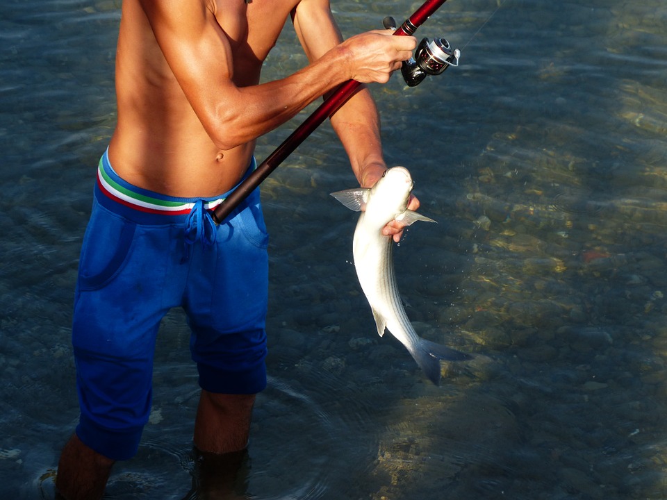 L'hameçonnage en pêche